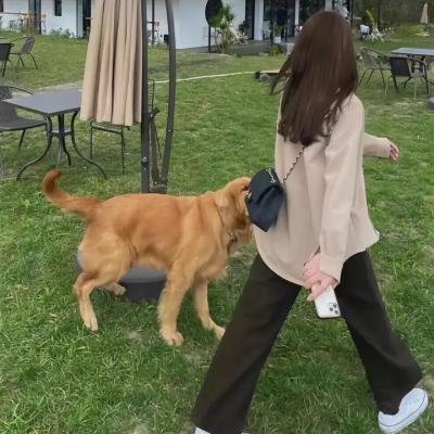 时光代理人英都篇