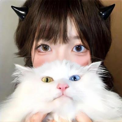 兔子镇的火狐狸
